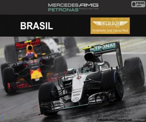 yapboz Nico Rosberg, Brezilya Grand Prix 2016